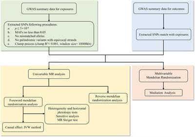 Causal associations of obesity related anthropometric indicators and body compositions with knee and hip arthritis: A large-scale genetic correlation study